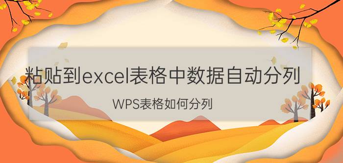 粘贴到excel表格中数据自动分列 WPS表格如何分列？